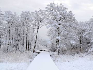 Ferienwohnung für 8 Personen in Drei Kaiserbäder, Heringsdorf, Bild 2