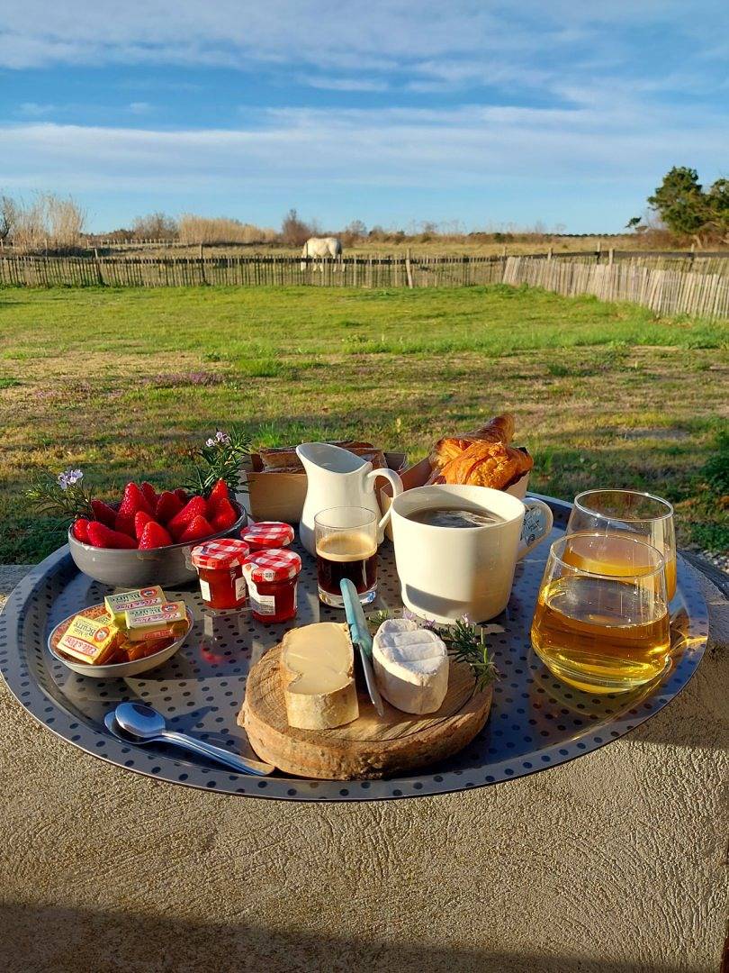 La Sellerie du Mas Constantin in Arles, Région d'Arles