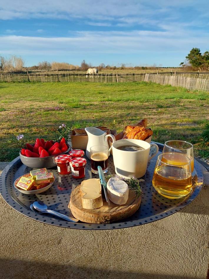 Gîte pour 5 personnes, avec piscine ainsi que terrasse et jardin à Arles - 3