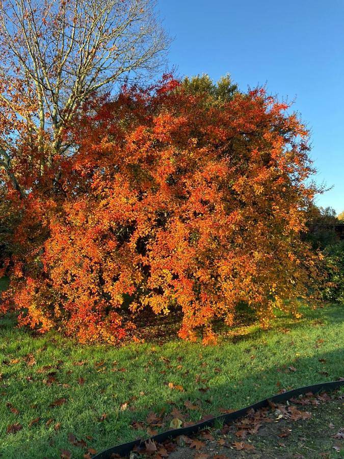 Location de vacances pour 2 personnes, avec jardin et vue à Navarrenx - 3