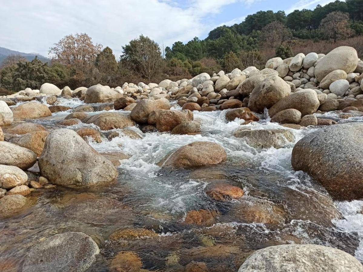Casa Rural: La Casa Mágica de Gredos in Madrigal de la Vera, Provincia de Cáceres