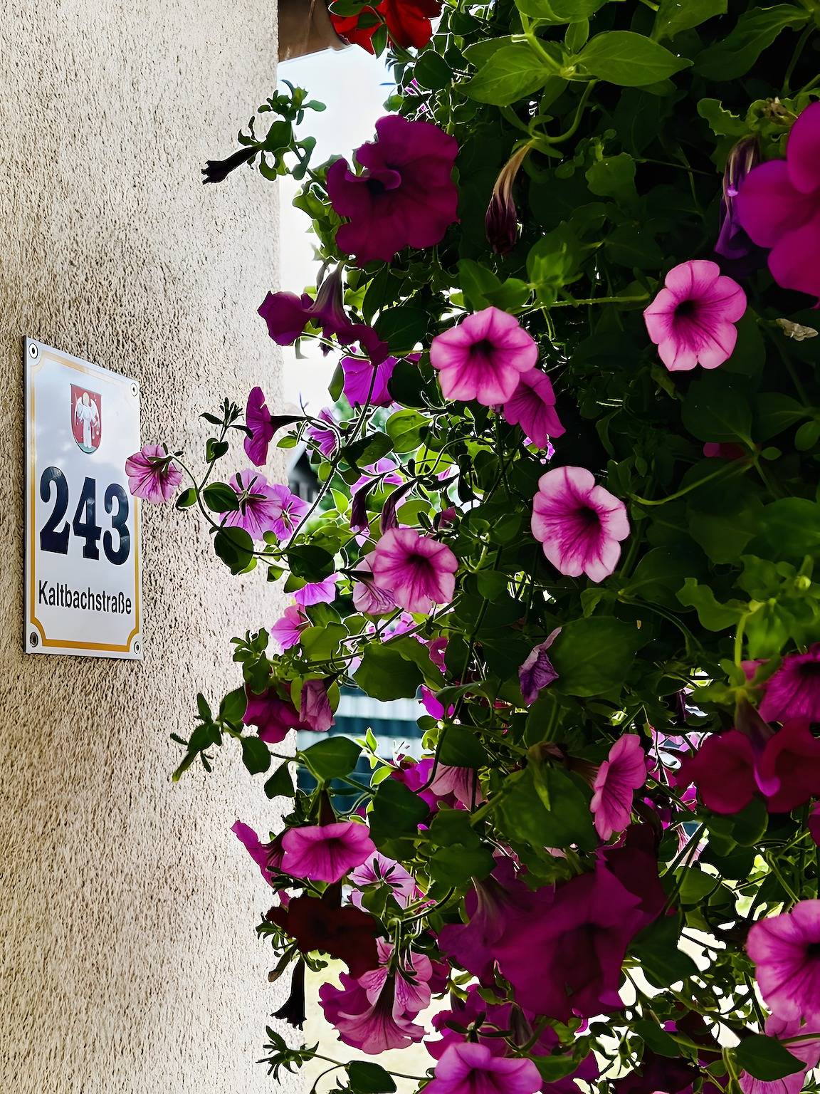 Ganze Wohnung, Appartement 'Familienlodge Berger Bergsee' mit Balkon und Wlan in Sankt Michael im Lungau, Bundesland Salzburg