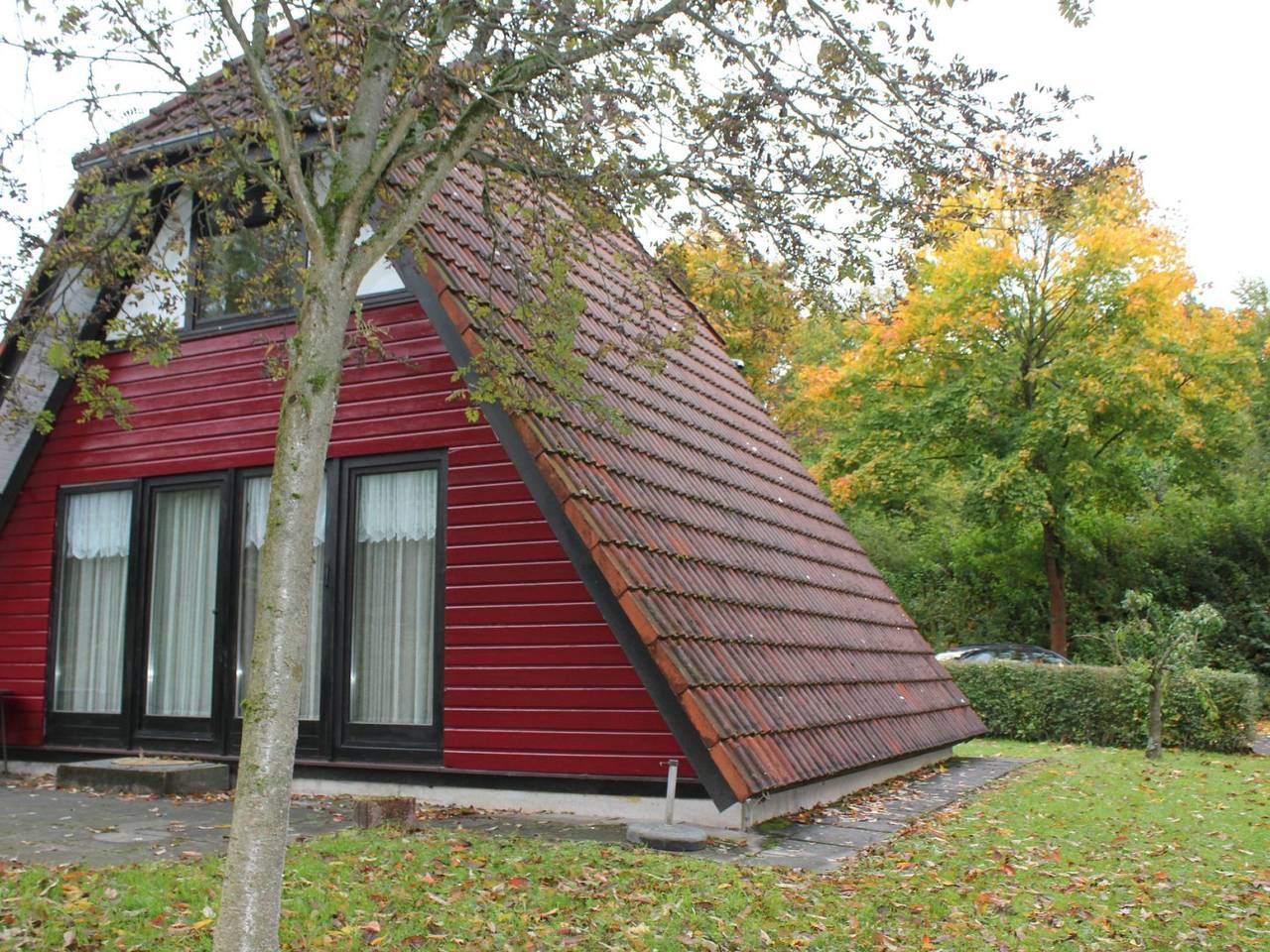 Mohnblume in Machtlos, Ronshausen