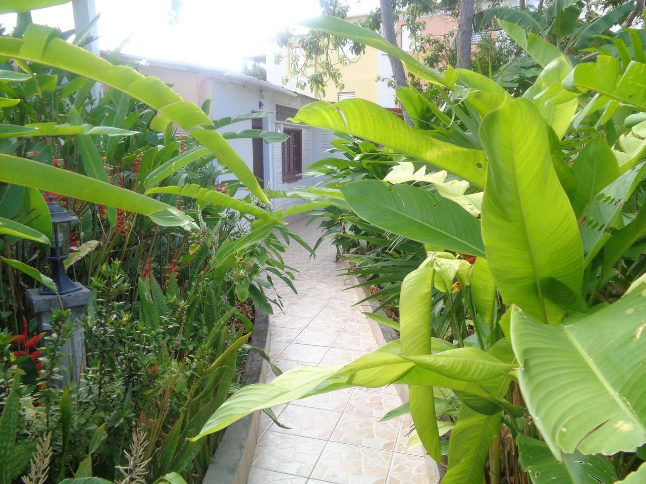 Apartamento entero, Apartamento encantador en Port-Louis con jardín cerrado in Port-Louis, Guadalupe