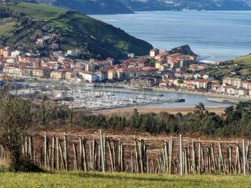 Gîte pour 5 personnes, avec vue et balcon à Zumaia