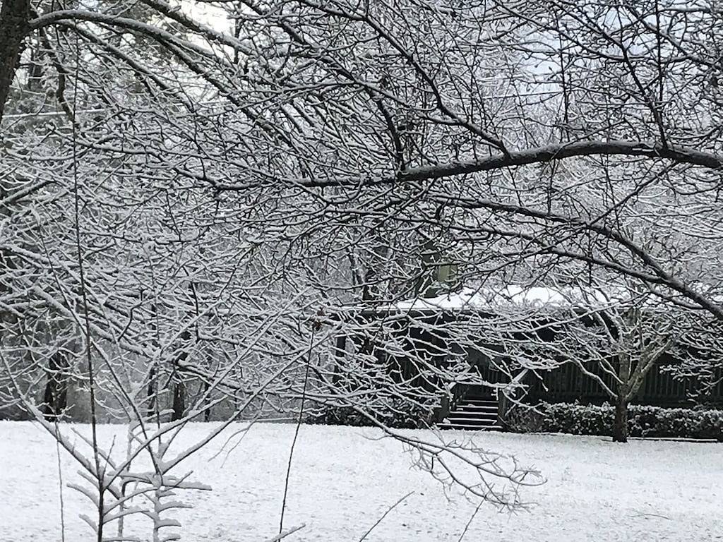 Hidden Haven - Eine private Berghütte! in Cosby (TN), Cocke County