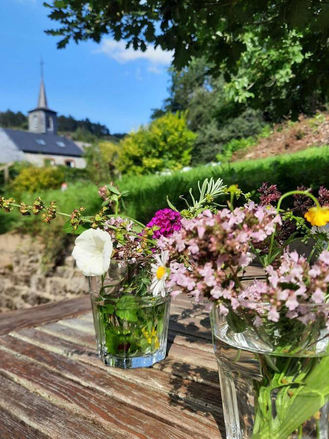 Location de vacances pour 9 personnes, avec jardin et vue à Doische - 3