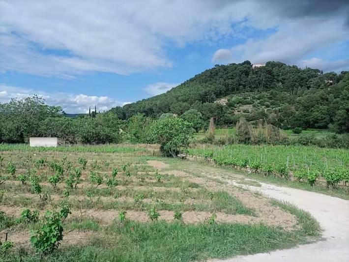 Location de vacances pour 5 personnes, avec jardin et vue, animaux acceptés à Le Castellet - 3