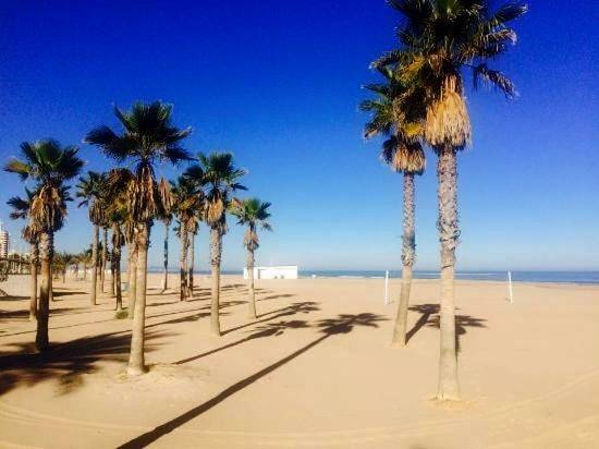 Hôtel pour 3 personnes, avec balcon à Playa de Gandía - 4