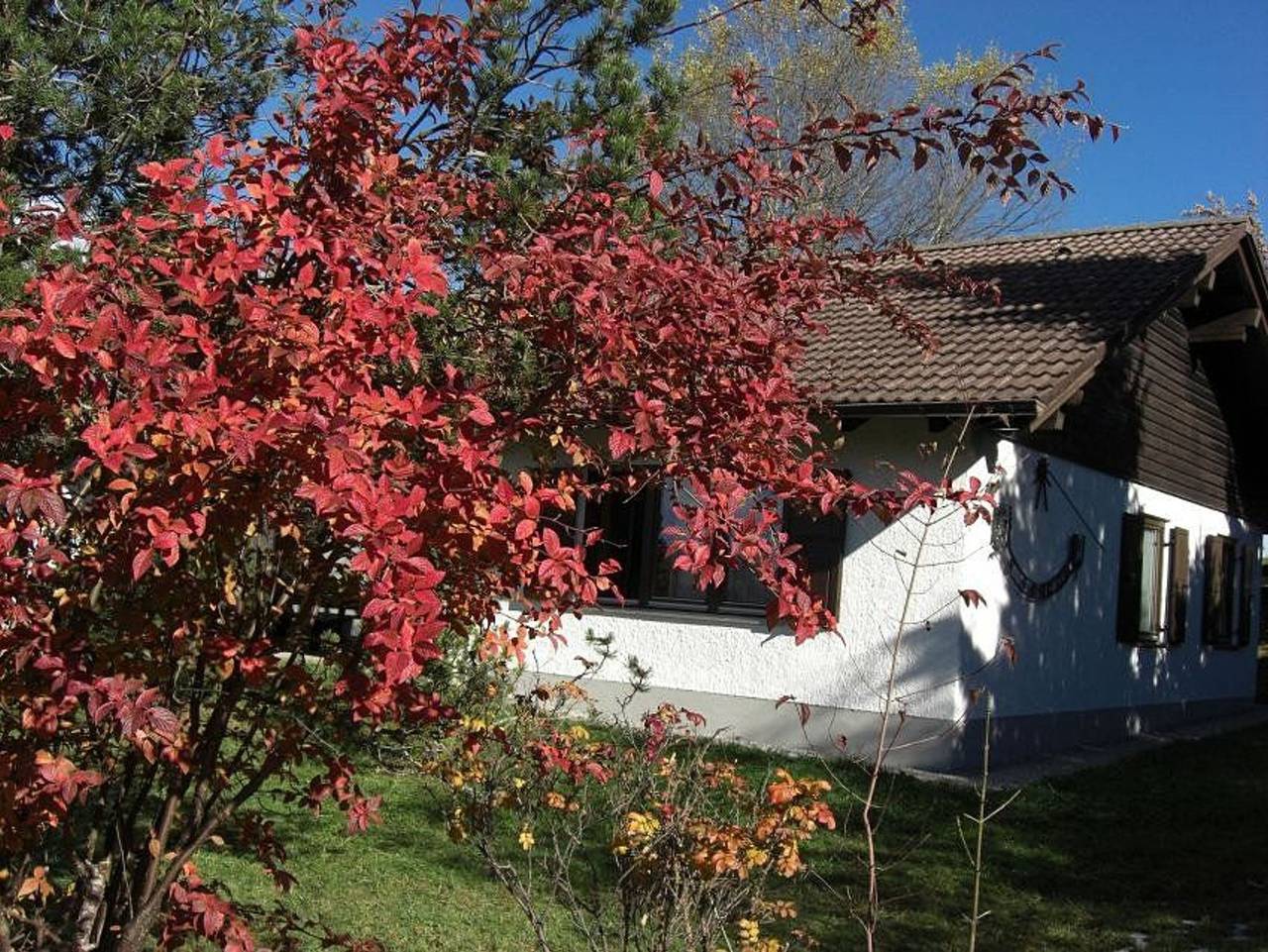 Ferienhaus Gamssteige im Feriendorf Reichenbach (G32) - Geräumiges Ferienhaus mit 3 Schlafzimmern (G32) in Nesselwang, Bayerisch Schwaben