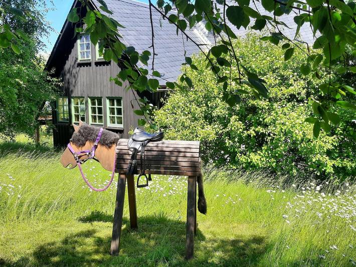 Ferienhaus für 8 Personen, mit Haustier in Altenberg - 3