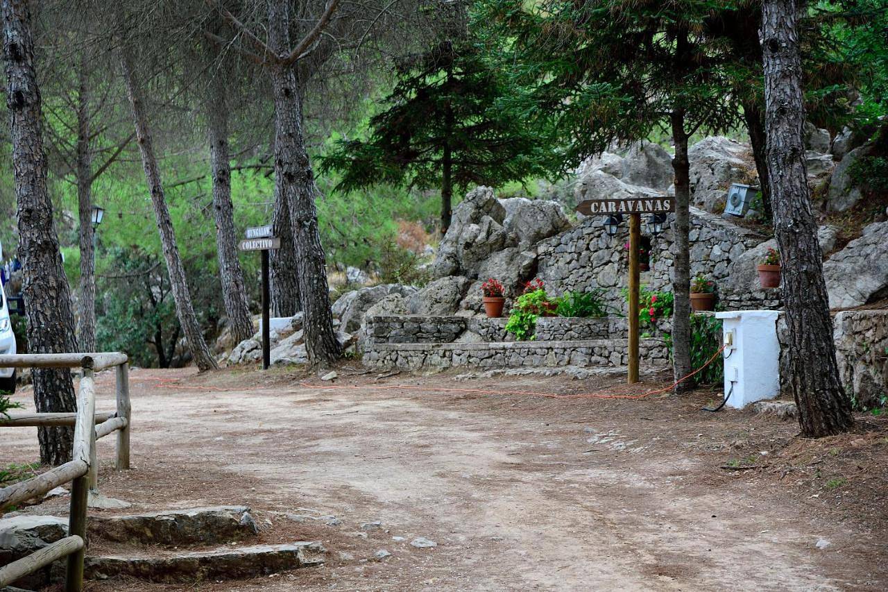 Parcela para tienda, incluye luz, Wifi y ducha in Grazalema, Pueblos Blancos