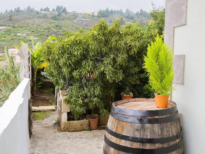 Gîte pour 2 personnes, avec balcon à Candelaria - 2