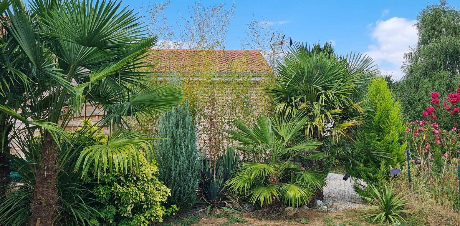 Appartement entier, Gite Aux Canaris in Sars-et-Rosières, Région de Valenciennes
