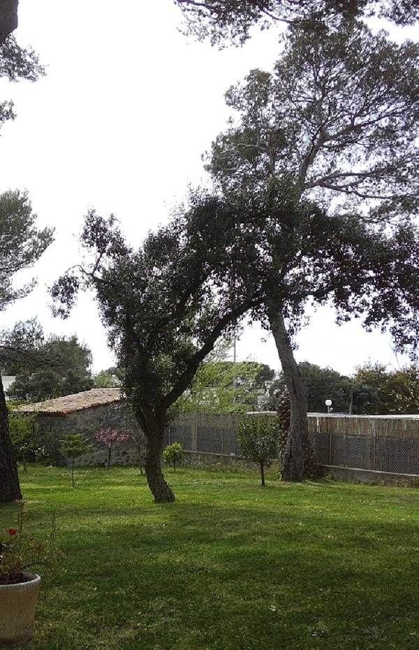 Gîte pour 3 personnes, avec vue ainsi que terrasse et jardin dans le Var - 3