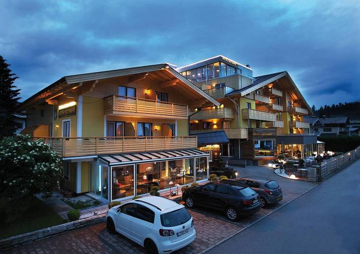 Hütte für 5 Personen, mit Garten und Sauna, kinderfreundlich in Abtenau - 2