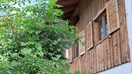 Ferienwohnung für 3 Personen in Warngau