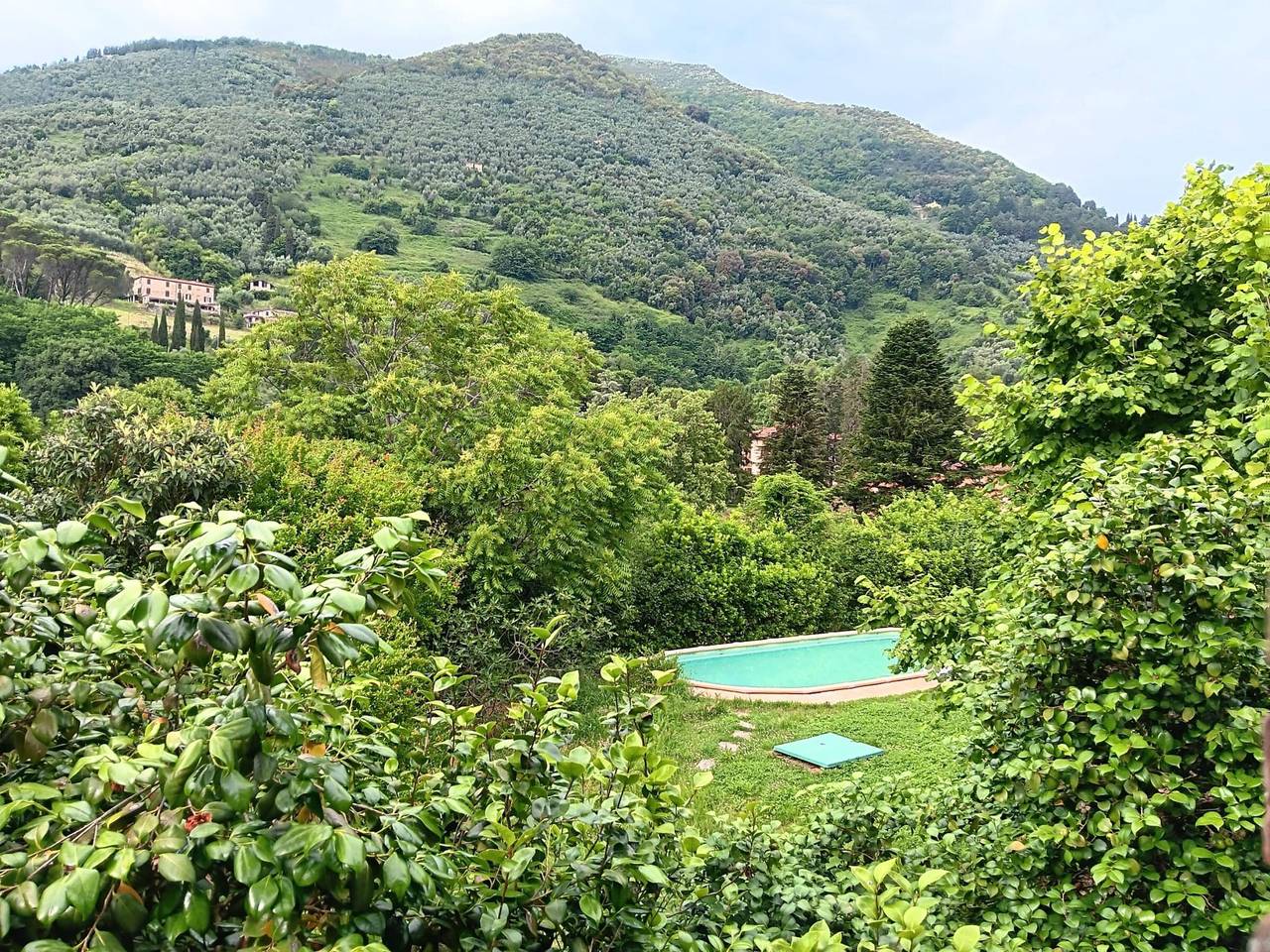 Villa 'Olivi' con Piscina in Condivisione, Giardino Privato e Wi-Fi in Camaiore (Toscana), Riviera Toscana