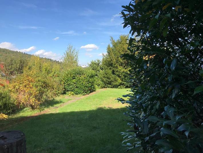 Ferienwohnung für 5 Personen, mit Garten und Ausblick in Fischbachtal - 3