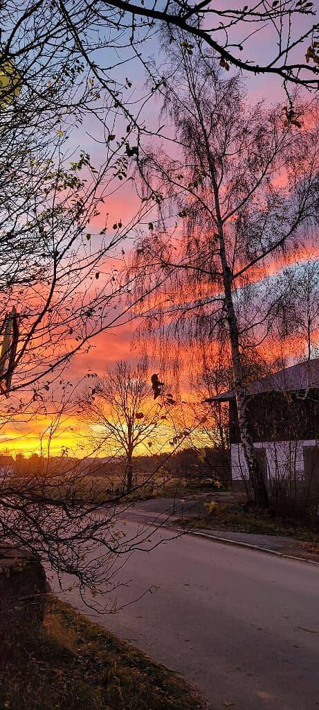 Ferienwohnung Bayerwaldblick - Ferienwohnung in Jandelsbrunn, Ostbayern