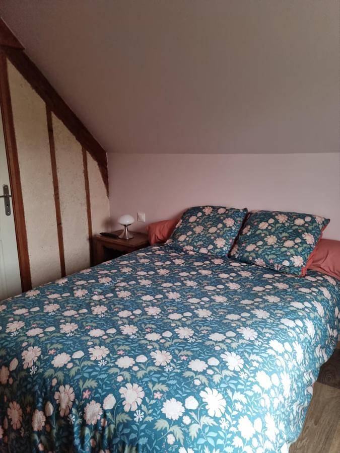 Location de vacances pour 6 personnes, avec jardin à Lestre - 4