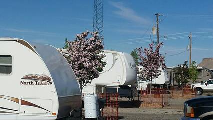 Camping for 5 Guests in Arches National Park, Utah, Picture 2
