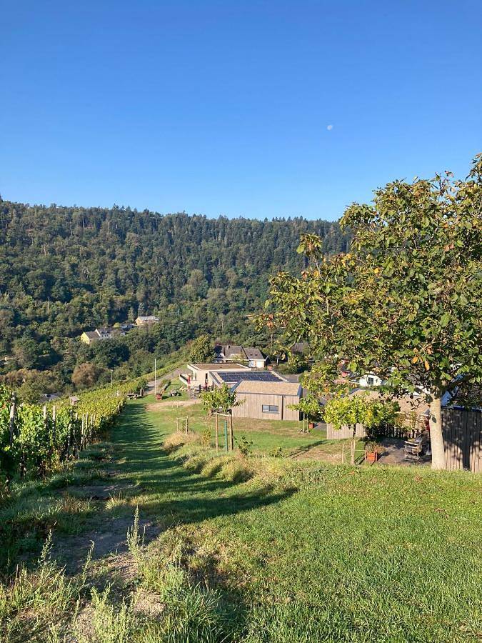 Ganze Wohnung, Moselhoch in Klüsserath, Moseleifel