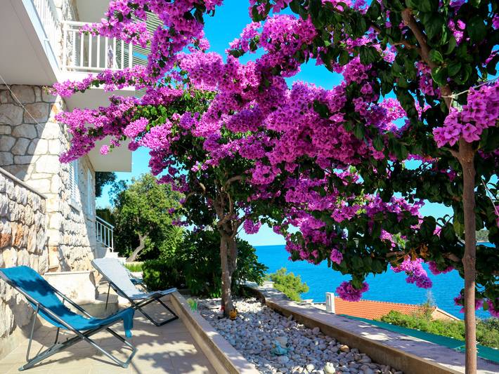 Apartamento de vacaciones para 6 personas, con terraza y jardín - 1