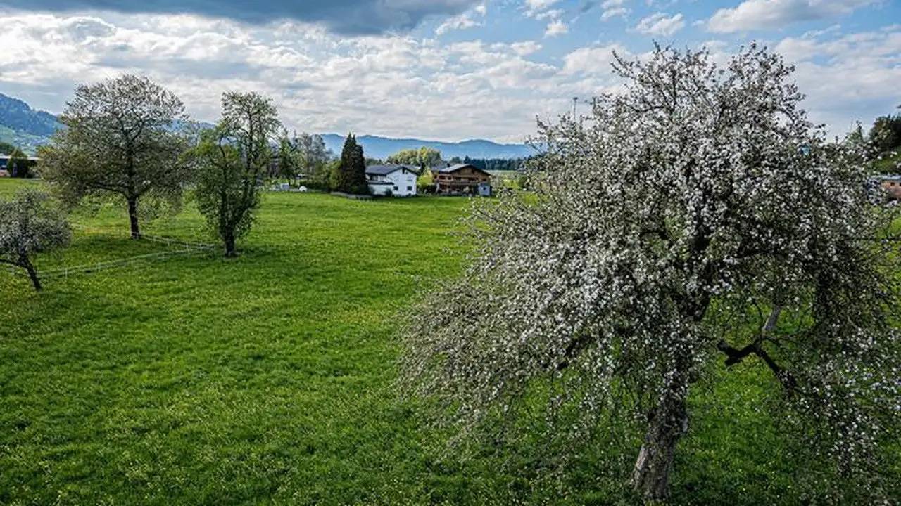 Entire holiday apartment, Ferienwohnung für 7 Personen (75 m²) in Lingenau, Bodensee-Vorarlberg
