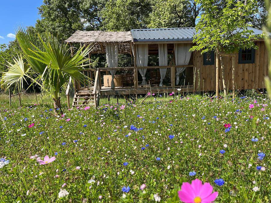 La Buissonnière Lodges - Lodge 2 personen - Hütte Lodge duo Spa (17 m² - 1 Schlafz.) in Chisseaux, Tours und Umgebung