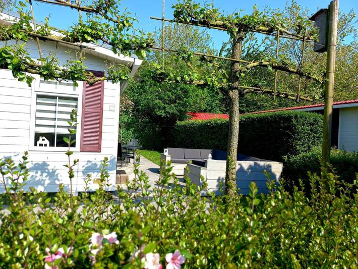 Chalet für 6 Personen, mit Terrasse und Garten in Zeeland - 4