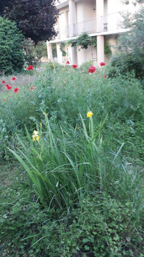 Appartement de vacances pour 4 personnes, avec jardin