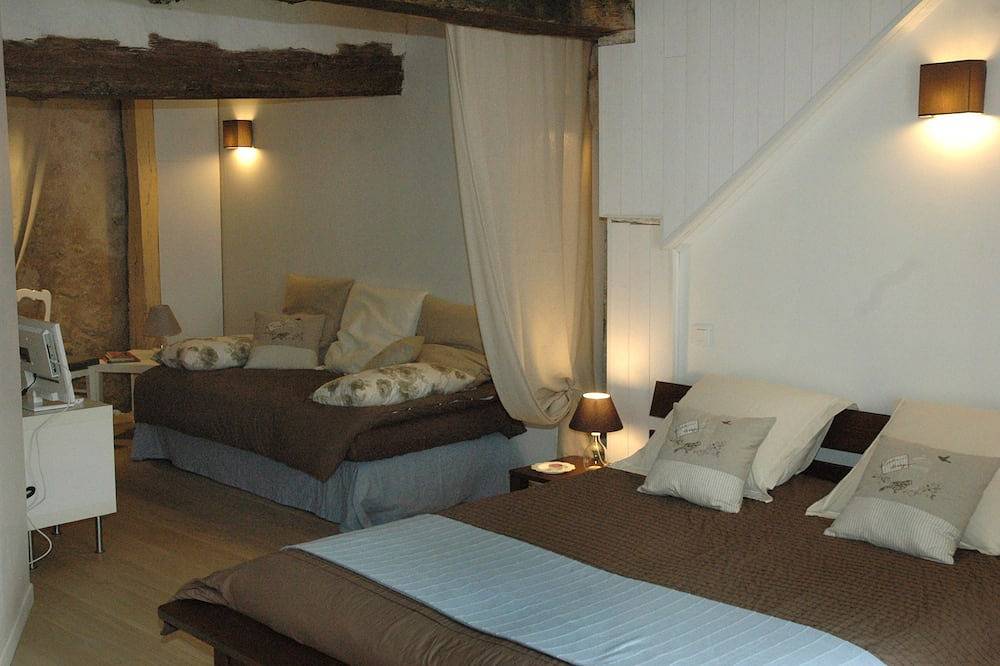 3 bedroom 3 bathroom town house in the heart of the Loire castles in Amboise, Tours region