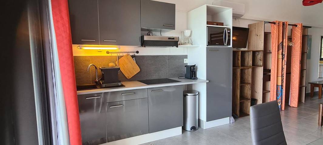 Gîte pour 3 personnes, avec terrasse ainsi que vue et piscine dans Grands-Bois - 4