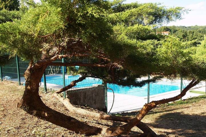 Location de vacances pour 4 personnes, avec piscine et jardin, animaux acceptés dans Saint-Salvy-de-la-Balme