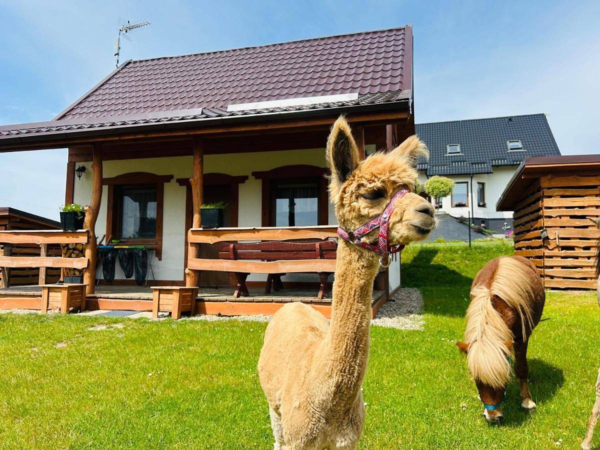 Domki Eden z Balią i sauną in Stężyca, Powiat de Kartuzy