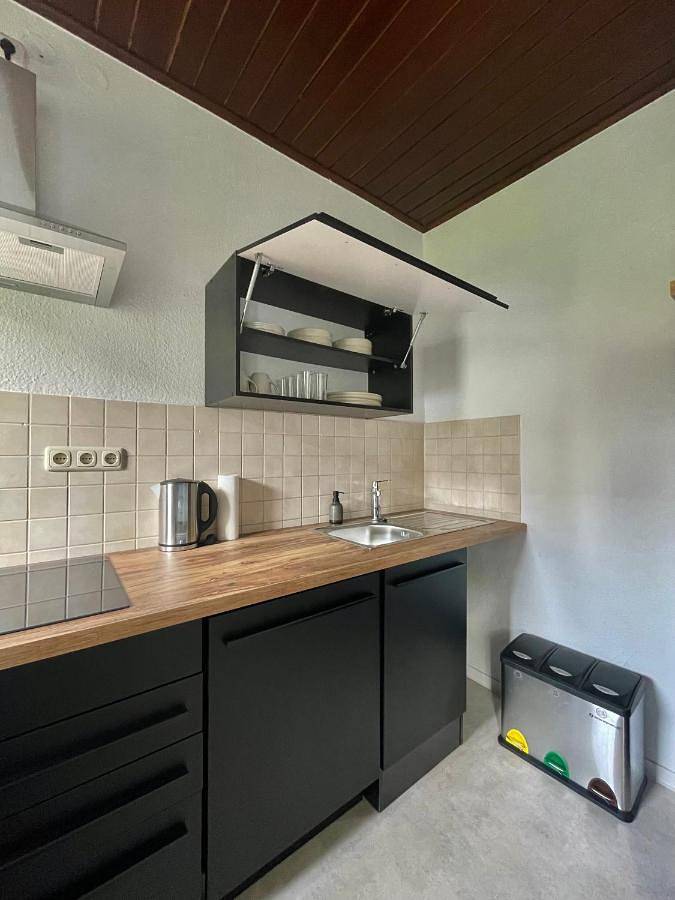 Ferienwohnung für 4 Personen, mit Terrasse und Ausblick in Heidenau - 3