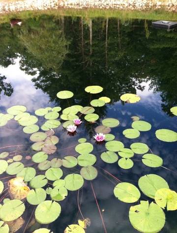 Vacation House for 15 Guests in Wisconsin, USA, Picture 4