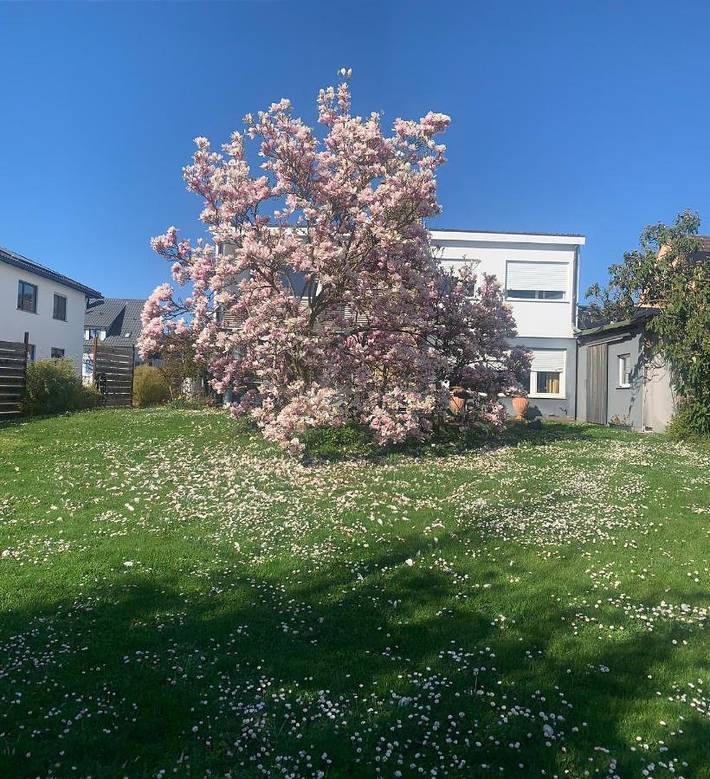 Maison d’hôte pour 4 personnes, avec vue et jardin à Radolfzell am Bodensee
