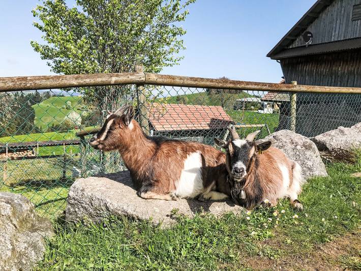 Apartamento entero, Naturfreunde in Hergiswil bei Willisau, Cantón de Lucerna