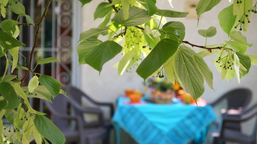 Maison de vacances pour 4 personnes, avec terrasse, animaux acceptés à Latour-Bas-Elne