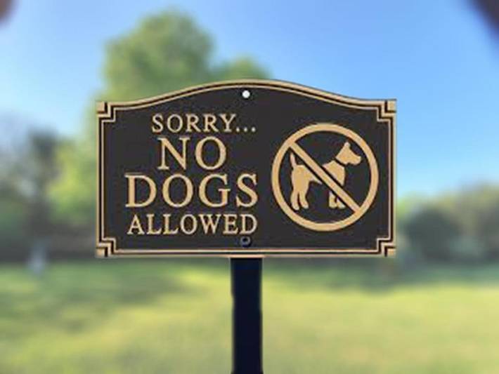 Location de vacances pour 12 personnes, avec piscine ainsi que vue et jardin à Chaniers - 2