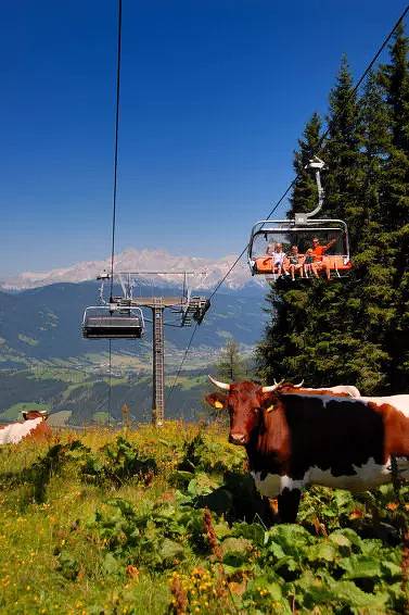 Ferienhaus für 10 Personen, mit Balkon und Terrasse sowie Sauna in Flachau - 4