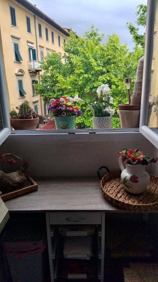 Chambre d’hôte pour 2 personnes, avec vue à Portoferraio - 2