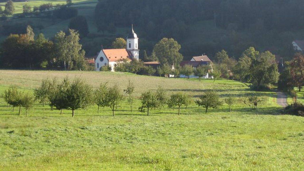 Ganze Ferienwohnung, Ferienwohnung für 5 Personen (62 m²) in Deggenhausertal in Deggenhausertal, Bodenseekreis
