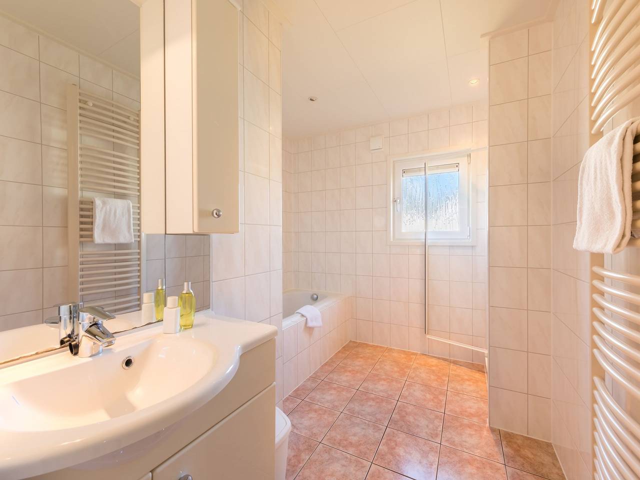 Detached villa with washing machine, around a lake area in Drenthe