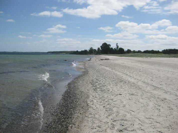Ferienhaus für 5 Personen, mit Garten und Terrasse, kinderfreundlich in Geltinger Bucht - 4