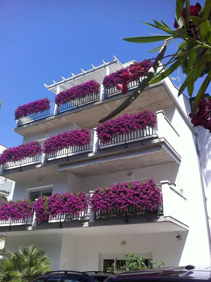 Apartmenthotel für 3 Personen, mit Terrasse - 1