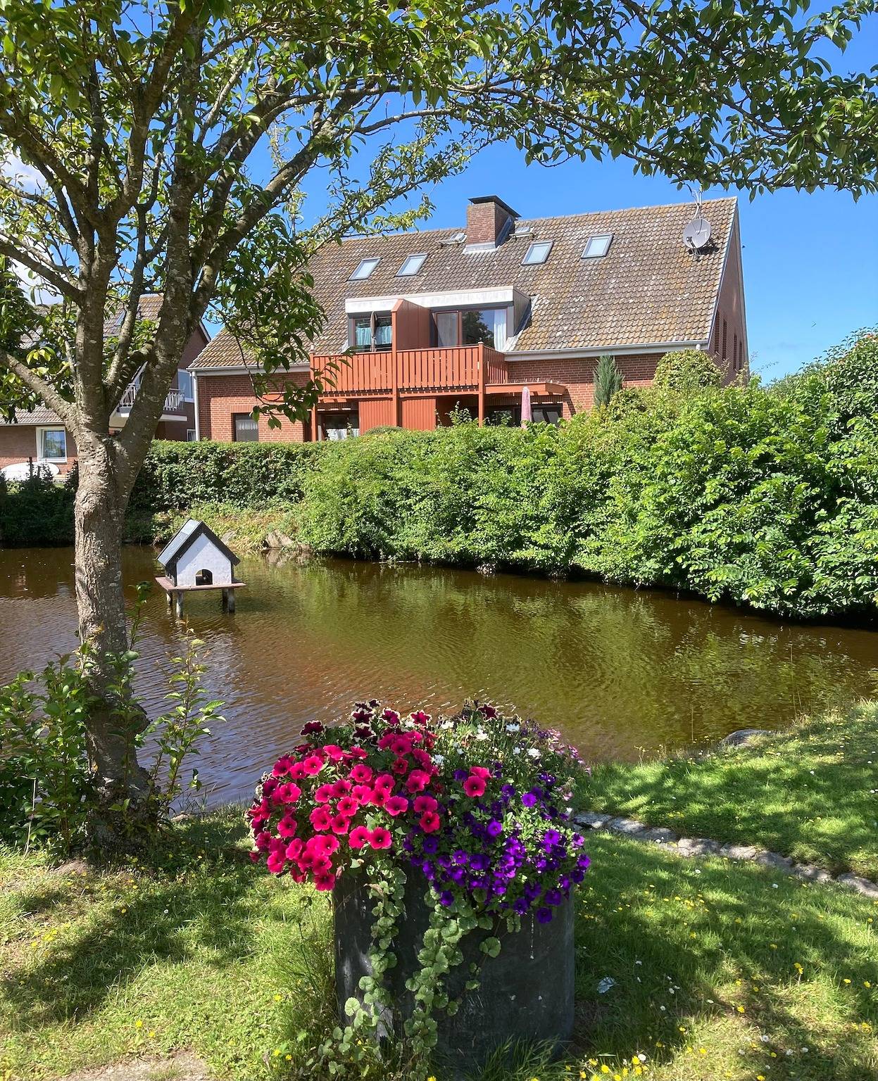Ganze Ferienwohnung, Fewo am Dorfteich in Westfehmarn, Lemkenhafen