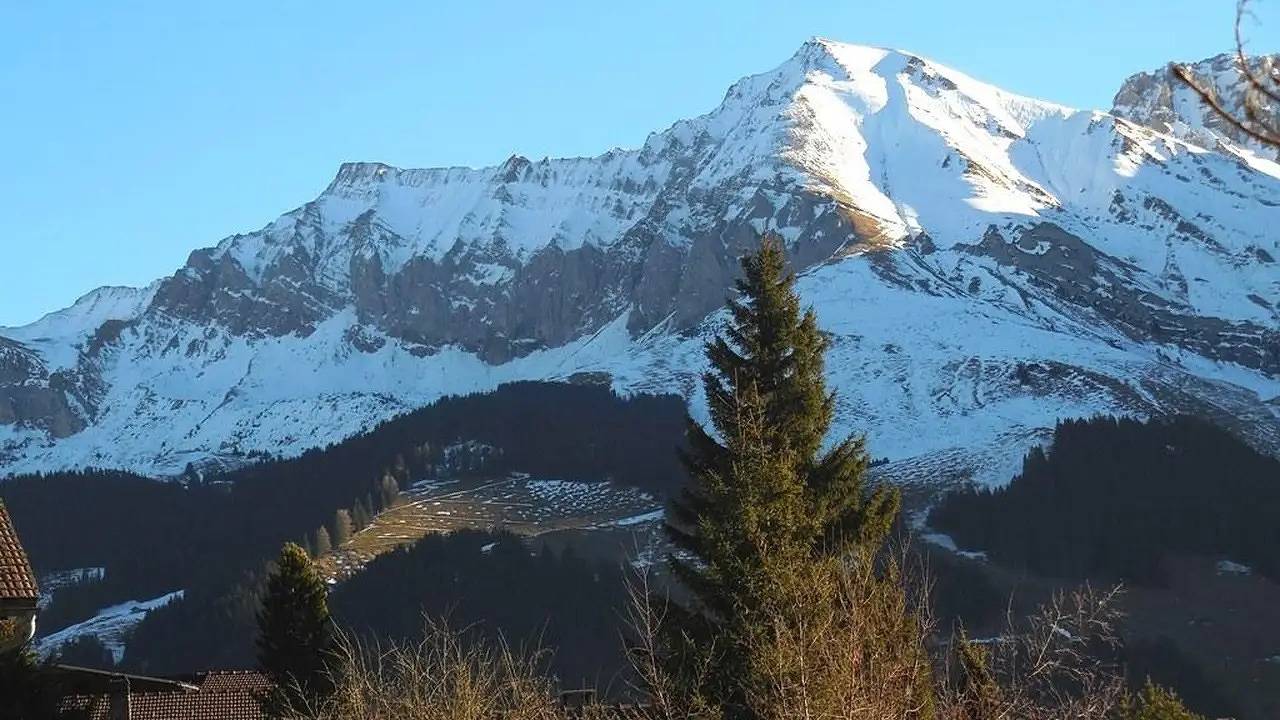 Ganze Ferienwohnung, Ferienwohnung für 2 Personen in Adelboden in Adelboden, Frutigen - Lenk - Adelboden